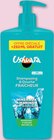 Shampooing et douche fraîcheur minéraux marins - USHUAÏA - Netto Shampooing et douche fraîcheur minéraux marins - USHUAÏA à 4,29 € dans le catalogue Netto