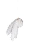 Jouet à plumes pour chat coloris blanc Petrebels Funky Rebels - PETREBELS - Botanic Jouet à plumes pour chat coloris blanc Petrebels Funky Rebels - PETREBELS à 7,49 € dans le catalogue Botanic