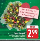 Aktuelle Blumen Angebote bei E center in Jena Aktuelles Tulpen Karneval Angebot bei E center in Jena ab 2,99 €