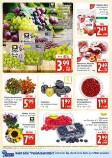 Blumen im E center Prospekt "Top Angebote" mit 44 Seiten (Rostock)