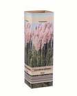 Pampasgras (Cortaderia) Weiß  im aktuellen Lidl Prospekt für 2,49 €