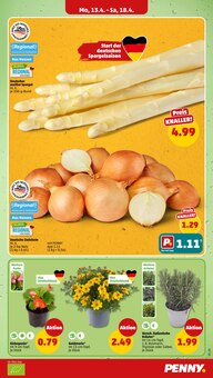 Gemüse im Penny Prospekt "Wer günstig will, muss Penny." mit 40 Seiten (Würzburg)