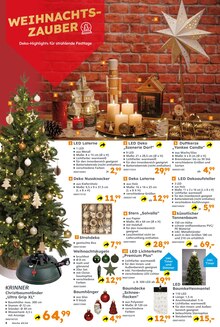 Tannenbaum im Globus-Baumarkt Prospekt "Immer eine Idee besser" mit 20 Seiten (Mannheim)