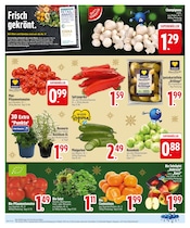 Pflanzen im EDEKA Prospekt in Germering Aktueller EDEKA Prospekt mit Pflanzen, "IM EINSATZ FÜR FRISCHE & VIELFALT.", Seite 4