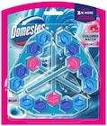 WC-Stein Trio Magnolia im Angebot bei Penny in Celle WC-Stein Trio Magnolia Angebote von Domestos bei Penny Celle für 3,49 €