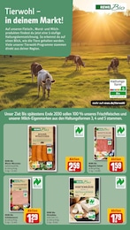 REWE Salami im Prospekt 