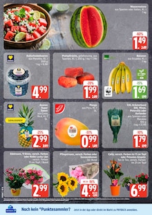 Kräuter im aktuellen EDEKA Prospekt (Hamburg) Kräuter im EDEKA Prospekt "Top Angebote" mit 28 Seiten (Hamburg)