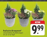 EDEKA - Bepflanztes Arrangement Angebot im Prospekt Bepflanztes Arrangement bei EDEKA im Prospekt "" für 9,99 €