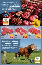 Roastbeef im REWE Prospekt in Buxtehude Aktueller REWE Prospekt mit Roastbeef, "Dein Markt", Seite 18