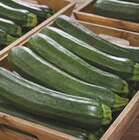 Courgette dans le catalogue Netto