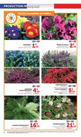 Hortensia Angebote im Prospekt "LES PRIX BAS du jardin" von Hyper U Hortensia Angebote im Prospekt "LES PRIX BAS du jardin" von Hyper U auf Seite 6