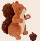 Peluche Ecureuil - Anione - Maxi Zoo à Nogent-sur-Marne Peluche Ecureuil - Anione en promo chez Maxi Zoo Nogent-sur-Marne à 5,99 €