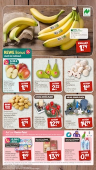 Champignons im aktuellen nahkauf Prospekt (Wuppertal) Champignons im nahkauf Prospekt "nichts liegt näher" mit 8 Seiten (Wuppertal)