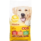Croquettes pour chiens - CARREFOUR COMPANINO VITALIVE en promo chez Carrefour Saint-Maur-des-Fossés à 12,55 €