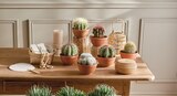 Cactus ou succulente pot 14 cm en promo chez Intermarché Hyper Perpignan à 9,99 €