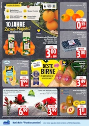 Ähnliche Zitronenbaum Angebote im Prospekt "Top Angebote" von EDEKA in Cuxhaven Ähnliche Angebote wie Zitronenbaum im Prospekt "Top Angebote" auf Seite 6 von EDEKA in Cuxhaven