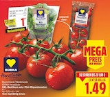 Herzstücke XXL-Basilikum von EDEKA im aktuellen E center Prospekt