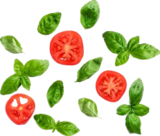 Fix von Knorr im aktuellen Kaufland Prospekt