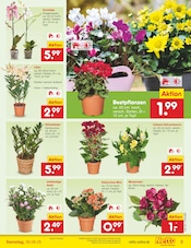 Aktueller Netto Marken-Discount Prospekt mit Garten, "Aktuelle Angebote", Seite 5