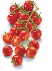 Aktuelle Tomaten Angebote bei Netto Marken-Discount in München Aktuelles Mini Cherryrispentomaten Angebot bei Netto Marken-Discount in München ab 2,49 €