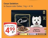 GLOBUS Castrop-Rauxel Prospekt mit  im Angebot für 4,99 €