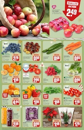 REWE Tierbedarf im Prospekt 