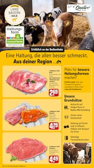 Braten im aktuellen REWE Prospekt (Pforzheim) Braten im REWE Prospekt "Dein Markt" mit 34 Seiten (Pforzheim)