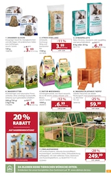 Dehner Garten-Center Glocke im Prospekt 