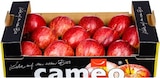 Dtsch. Tafeläpfel Cameo bei Kaufland im Hamm Prospekt für 3,99 €