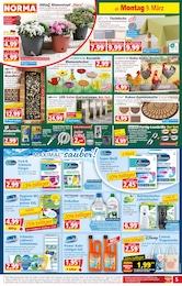 Geschirrspüler Angebot & Preis im aktuellen Norma Prospekt Geschirrspüler Angebot im aktuellen Norma Prospekt auf Seite 5