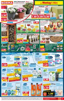 Teppichboden im Norma Prospekt "Mehr fürs Geld" mit 18 Seiten (Fürth)