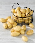 Pomme de terre de consommation en promo chez Super U Saint-Nazaire à 1,99 €