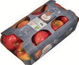 Aktuelles Bio-Pausenäpfel Angebot bei tegut in Jena ab 2,99 €
