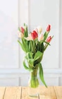 Bouquet 12 tulipes amour - U dans le catalogue U Express