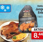 Zimmermann Hambühren - Junge Ente Angebot im Prospekt Junge Ente bei Zimmermann im Hambühren Prospekt für 8,44 €