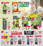 Aktueller Marktkauf Prospekt mit Blumenerde, "Aktuelle Angebote", Seite 25