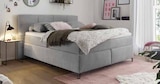 Boxspringbett Fairfield im Segmüller Prospekt Boxspringbett Fairfield  im aktuellen Segmüller Prospekt für 899,00 €