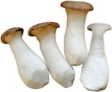 Bio Kräuterseitlinge bei REWE im Bexbach Prospekt für 2,49 €