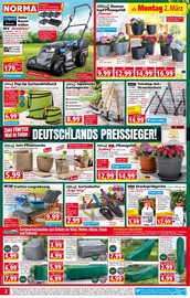 Aktueller Norma Prospekt mit Sonnenschirm, "Mehr fürs Geld", Seite 2