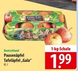 Pausenäpfel Tafeläpfel "Gala" bei famila Nordost im Rotenburg Prospekt für 1,99 €