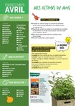 Plant De Tomates Plant De Tomates