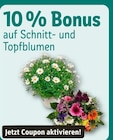 Angebot im REWE Kleinwallstadt Prospekt REWE Kleinwallstadt Prospekt mit im Angebot für