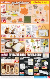 Kürbis im Norma Prospekt in Bietigheim-Bissingen Aktueller Norma Prospekt mit Kürbis, "Mehr fürs Geld", Seite 5