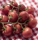Promo Tomate cocktail grappe zéro résidus de pesticides à 3,49 € dans le catalogue Casino Supermarchés à Montesson