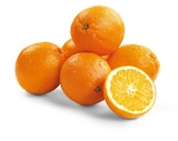 Bio Orangen Angebote von REWE Bio bei REWE Emden für 2,29 €