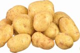 Aktuelle Kartoffeln Angebote bei EDEKA in Osnabrück Aktuelles Deutschland Speisekartoffeln 'Corinna' Angebot bei EDEKA in Osnabrück ab 2,49 €
