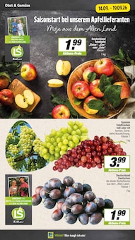 Äpfel im aktuellen EDEKA Prospekt (Münster) Äpfel im EDEKA Prospekt "Aktuelle Angebote" mit 20 Seiten (Münster)