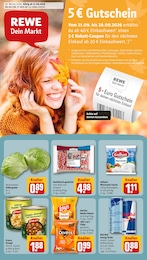 REWE Prospekt für Rheine mit 34 Seiten REWE Prospekt für Rheine: "Dein Markt", 34 Seiten, 21.09.2026 - 26.09.2026