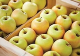 Pommes Golden Delicious, Scifresh, Fuji - Pommes de France à 2,99 € dans le catalogue Netto