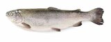 Aktuelle Fisch Angebote bei E center in Reutlingen Aktuelles Bio Forellen Angebot bei E center in Reutlingen ab 2,79 €